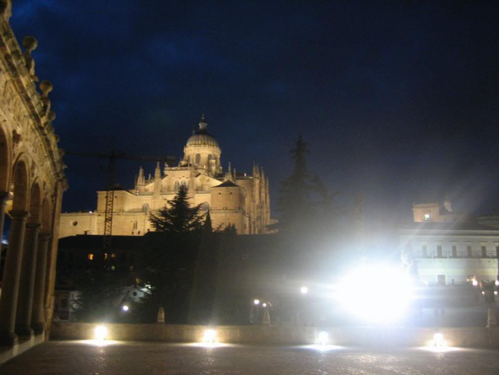 Salamanca at night Pictures, Images and Photos