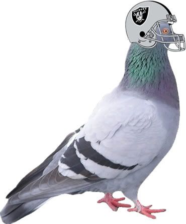 pigeon_raida-1.jpg