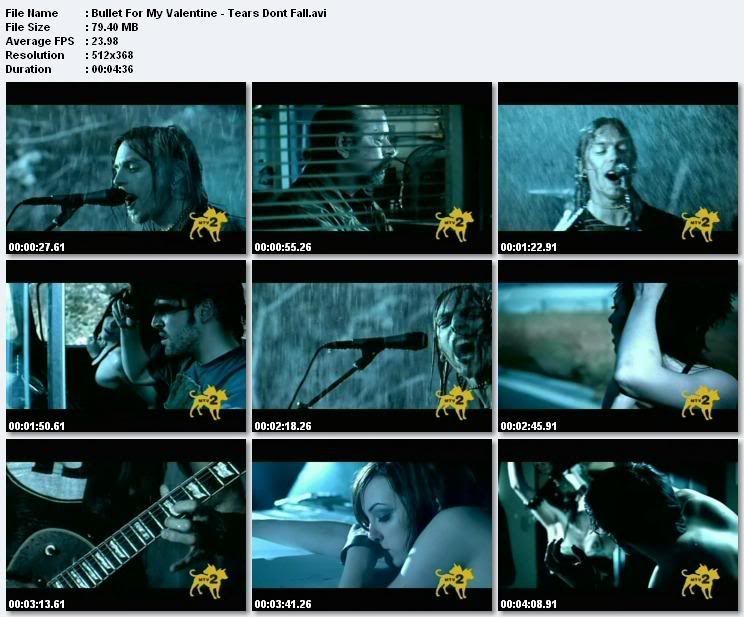 Bullet For My Valentine Tears Dont Fall Image