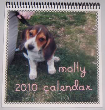 Molly's Front Cover