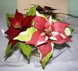 Nov09 MWE Kit Poinsettia Bouquet
