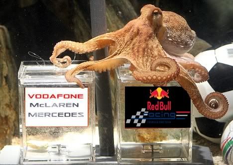 f1octopus.jpg