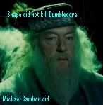 dumbldore.jpg picture by slayergirlkal