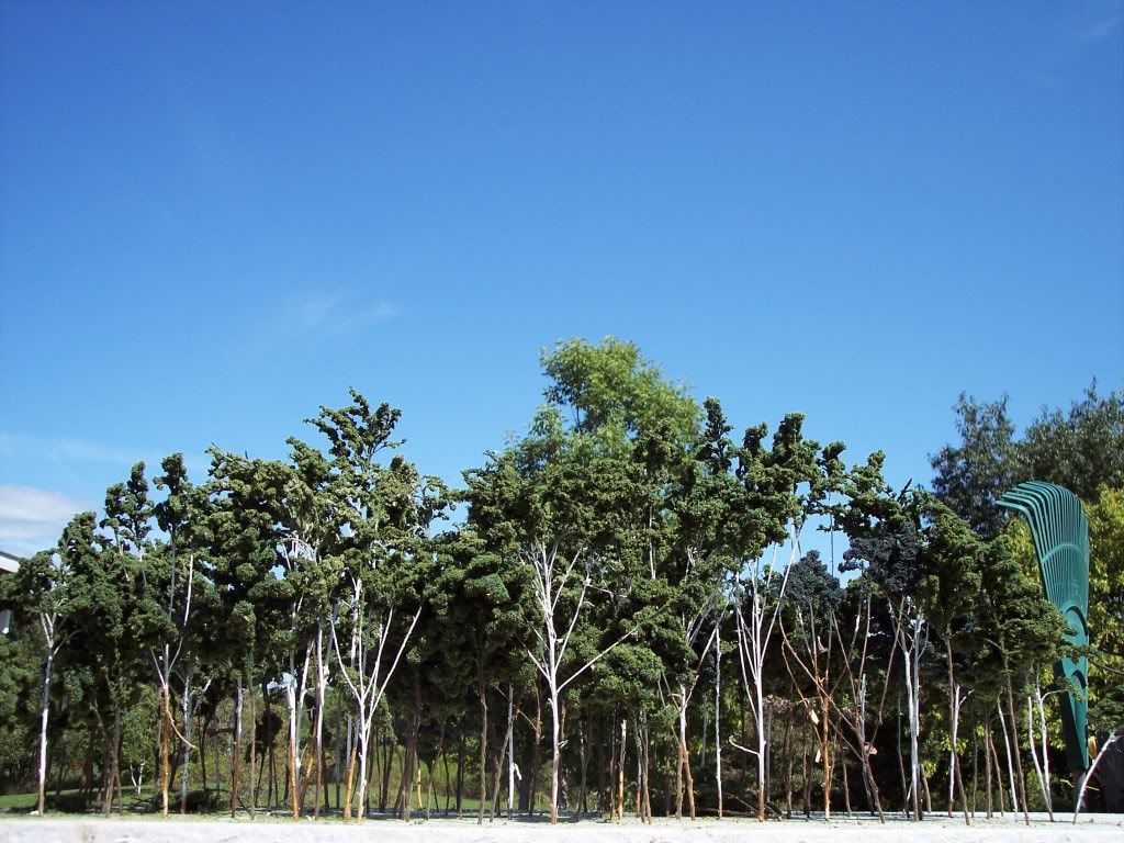 Miniature Trees ~ 20 2"-5" SAGEBRUSH MODEL RAILROAD TREE ARMATURES DEAD FALLS 