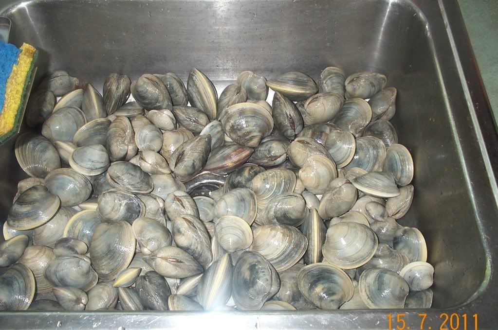 Barnegat bay clamming trip. New Jersey Hunters