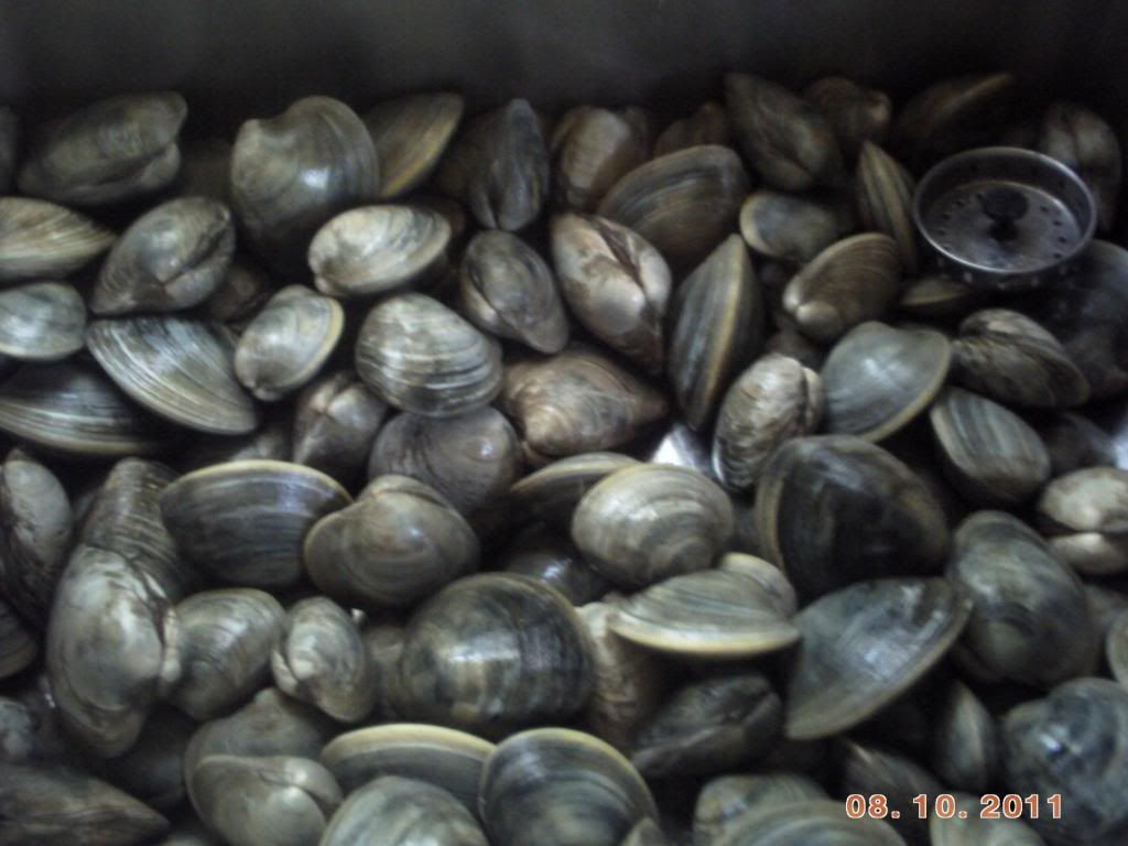 Barnegat Bay clamming trip