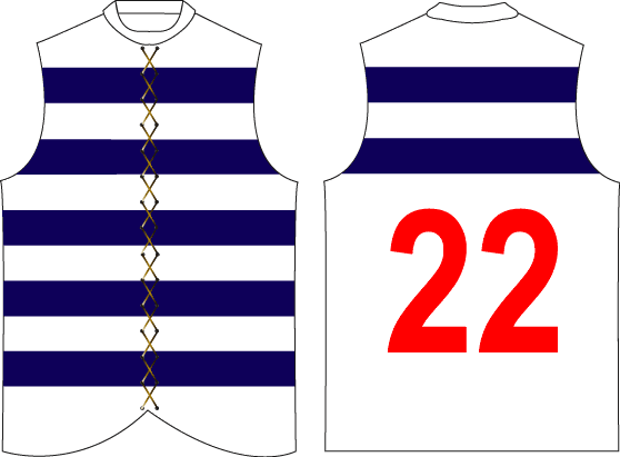 Club Jumpers & Logos | BigFooty Forum