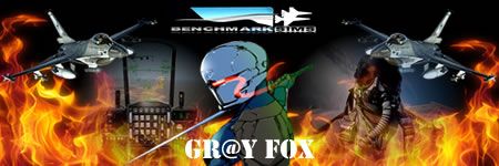 GrayFox-1_zpsef8c5ce7.jpg