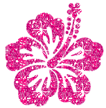 pinkhibiscus.gif