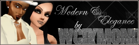 Modern & Elegance by WCDYMOND
