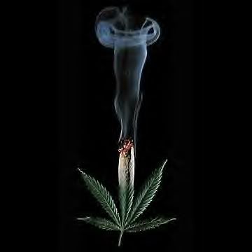 Marijuana photo: Marijuana WEED1-1.jpg