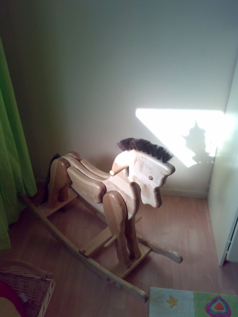 07092008255.jpg hobbelpaard picture by Jessiemuts