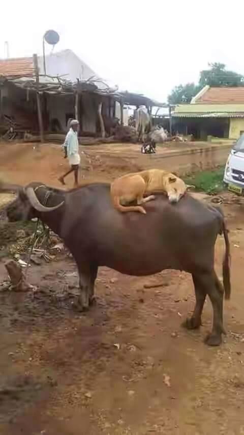 %20First%20Floor%20%20%20..._zps2ryuin8c