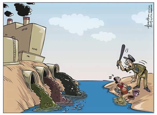 12642990_1026554467411161_49506862433193