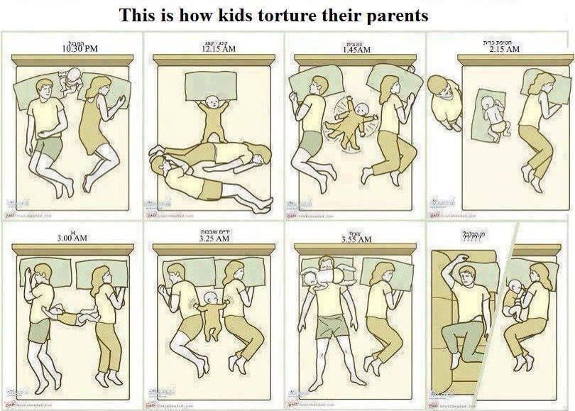 1471831_10151794403783471_2023282844_nau