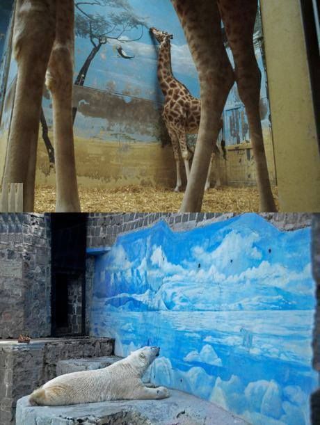 1797442_10152158008690901_564945245_n_zp