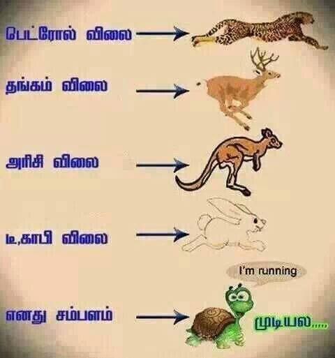 1891085_637626916275172_1537809164_n0_zp