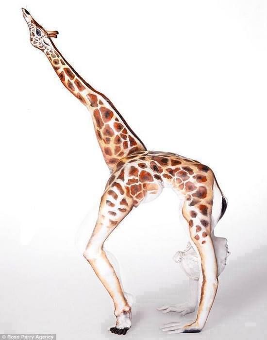 1964812_638182159552981_992969934_nauml_