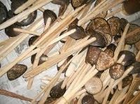 27b95d8f-4c4d-4afd-b99f-025a8e80e780_zps