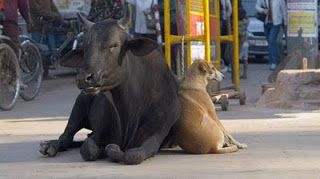 BAE0BA90BBF0B9A0BAA0BCD0BAA0BAF0BB20BC10