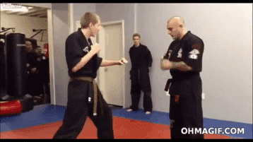 gangnam-style-martial-arts-defense_zps52
