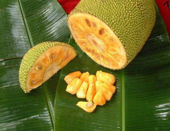 l1174727_525201937585792_1086151195_n_zp