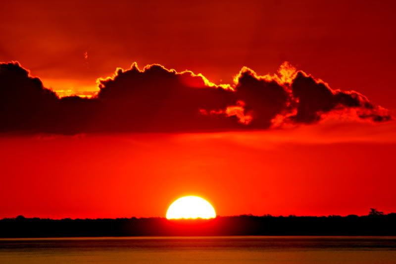 sunset_amazon_2.jpg