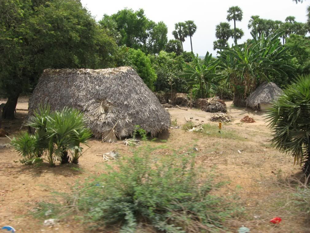 tamilnadu079.jpg