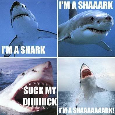 Im_A_Shark.jpg