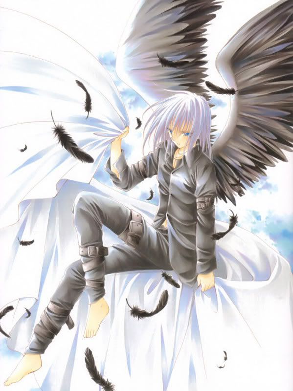 anime angel boy with black wings Pictures, Images and Photos
