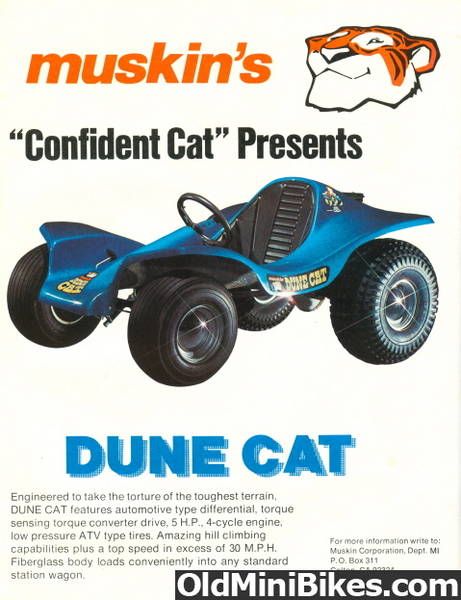 dune cat go kart