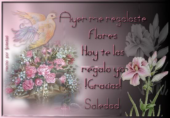 gracias35flores15soledad.jpg picture by incandessence