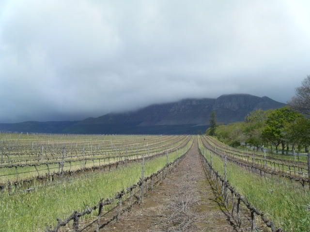 0568-DSCF1204.jpg~original