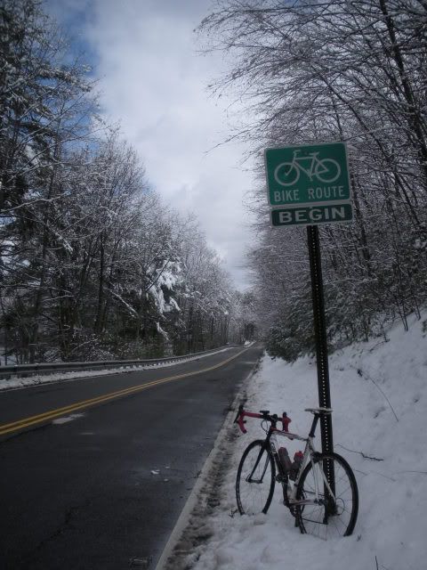 bikingpics2011214.jpg