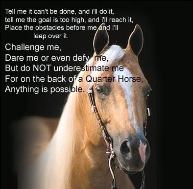 Horse Quote Pictures, Images and Photos