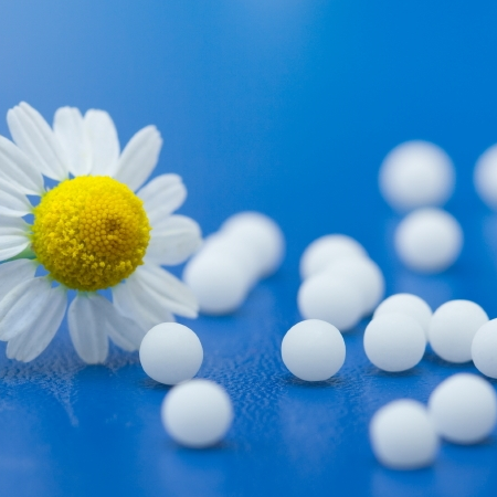 Homeopathy - Is it All an Elaborate Fraud? 11