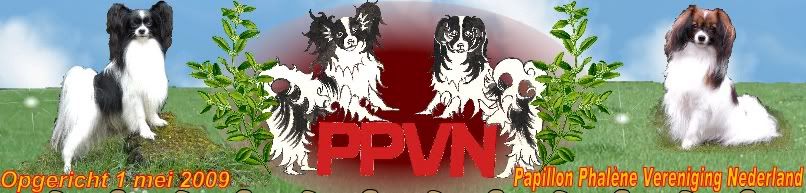 PPVN logo