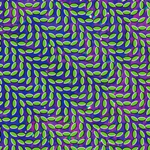 Animal Collective - Merriweather Post Pavilion