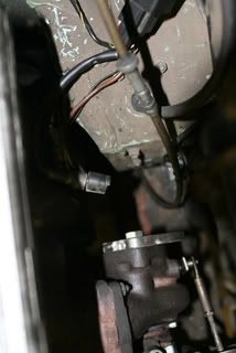 [Image: IMG_3331.jpg]