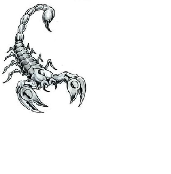 scorpio-tattoo-design2.jpg scorpion