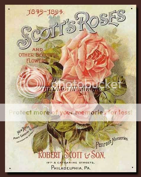 Nostalgic Tin Metal Sign   1849 94 Scotts Roses Flowers Garden 