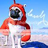 http://i265.photobucket.com/albums/ii209/Mr-Know-All/mr-know-all%20vol%202/pug07.jpg