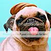 http://i265.photobucket.com/albums/ii209/Mr-Know-All/mr-know-all%20vol%202/pug09.jpg