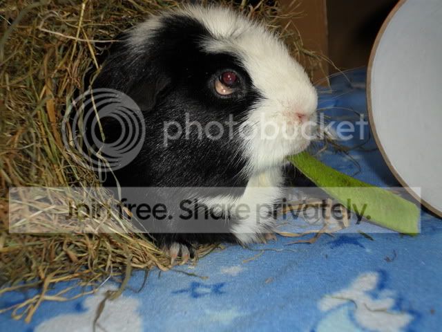 SAM_0487.jpg