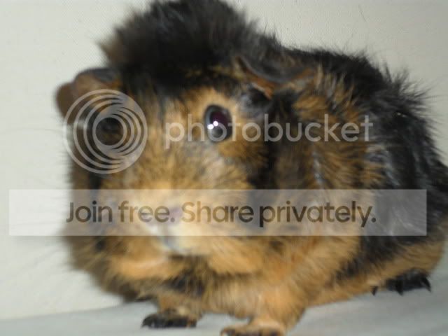 SAM_0747.jpg