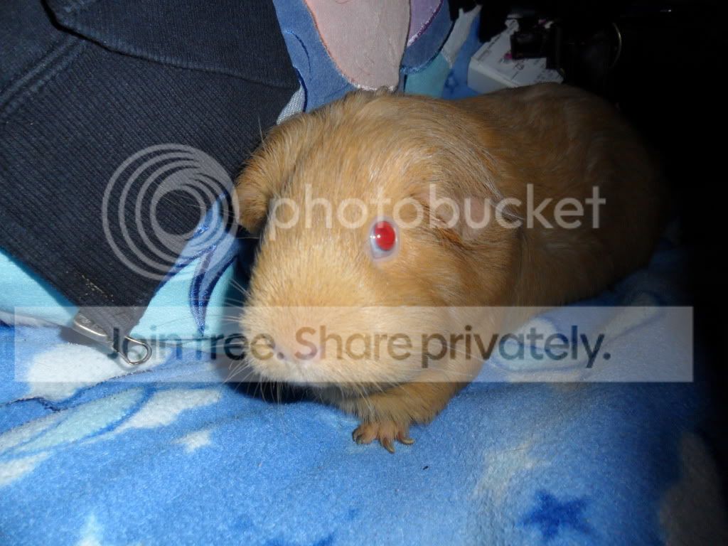 SAM_0789.jpg