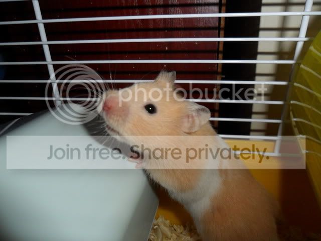 SAM_0801.jpg