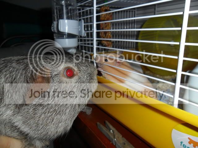 SAM_0833.jpg
