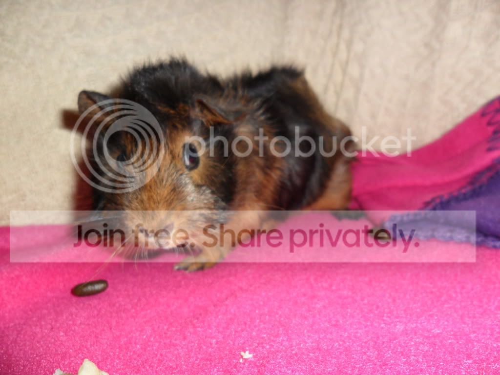 SAM_0636.jpg