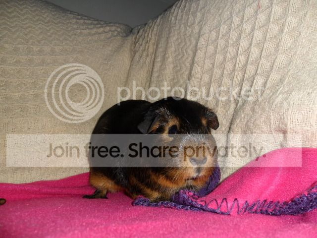 SAM_0640.jpg